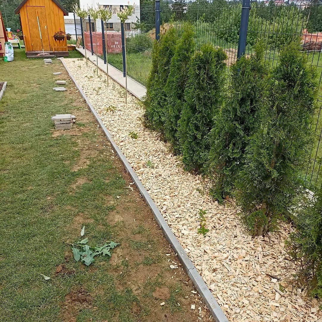 Pás tújí podél plotu namulčovaný štěpkou s obrubníkem